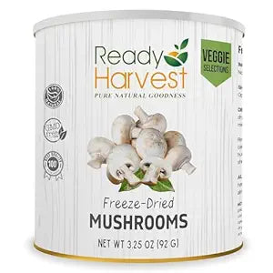 Mushroooms Freeze Dried