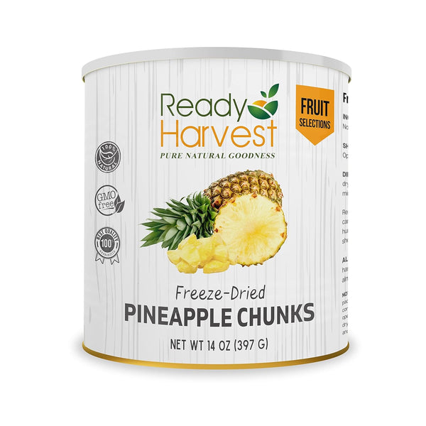 Pineapple Freeze-Dried